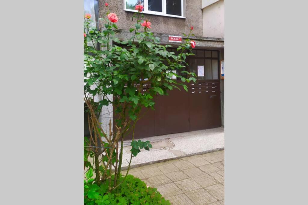 Lovely City Center 1Bd, 1Bt Apartment 소피아 외부 사진